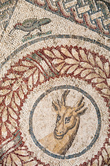 Old roman mosaics