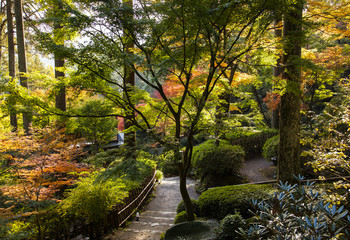 大興善寺の紅葉