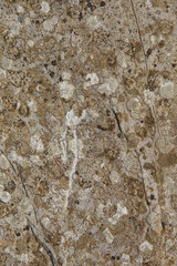 weathered stone background