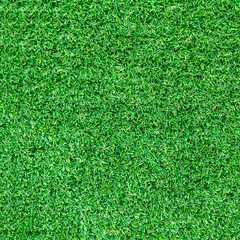 Fototapeta premium Artificial green grass texture or green grass background for golf course. soccer field or sports background concept design.
