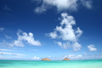 Fototapeta na wymiar ハワイの海