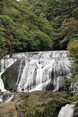 Fototapeta premium 袋田の滝（茨城県大子町）