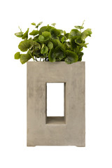 isolated cement plant pot