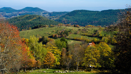 Herbstliches Tal in den Vogesen