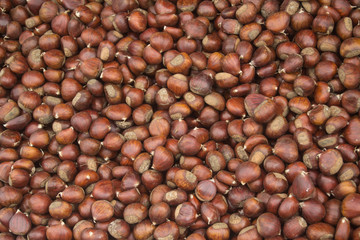 castagne