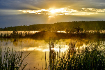 Morning fog on a lake