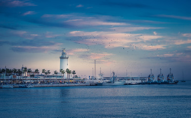 La falora de Malaga