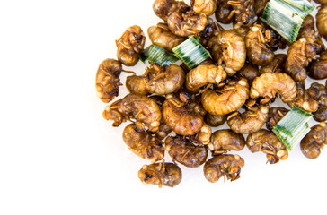 Pile Bug Cicada larva roasted with herb pandan leaves. Is the most expensive fried insects because it is tasty and rare. isolated on white background.