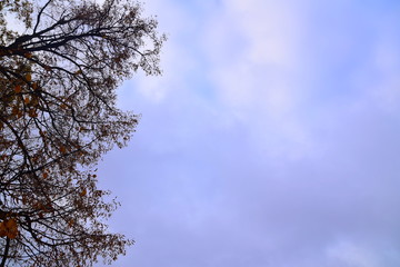 Fototapeta premium Autumn sky