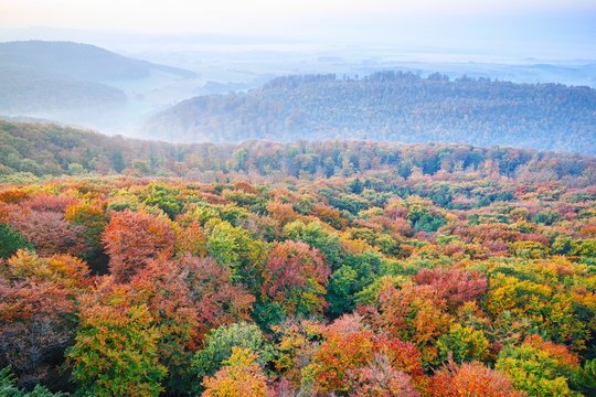 Bunter Herbstwald von Oben