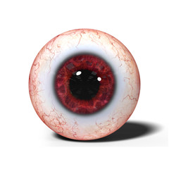 realistic human eye ball with red iris isolated on white background 