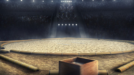 sumo professional arena in lights 3d rendering