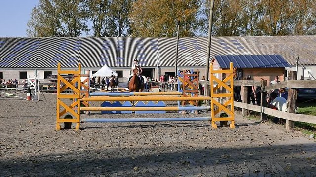 cheval refusant de sauter (slow motion)