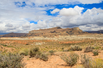 Fototapeta premium Remote Utah Landscape