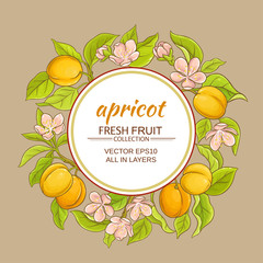 apricot vector frame