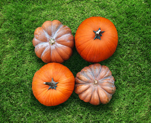 four orange pumpkins harvest lying on green grass flat lay high angle view