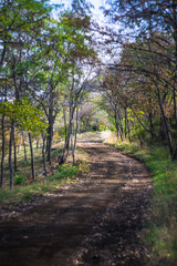 Rural autumnal landscape