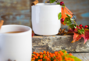 Autumnal concept with yellow leaves