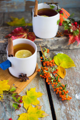 Autumnal concept with yellow leaves