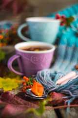 Autumnal concept with yellow leaves