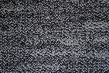 Carpet