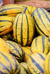 Pumpkins and gourds