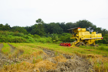 Fototapeta na wymiar Rice Planting Machine At Rice Field