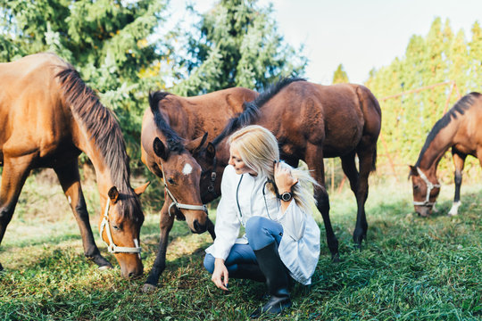 Veterinarian with horses outdoors in nature. 