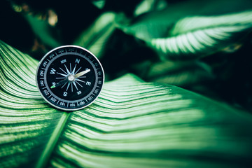 compass concept for find the nature in your life © obeyleesin