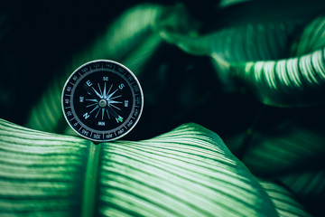 compass concept for find the nature in your life © obeyleesin