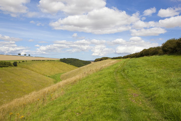 wolds wooded valley