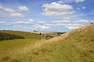 yorkshire wolds valley