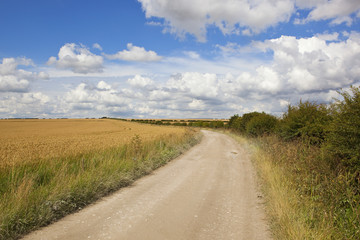 Fototapeta na wymiar limestone farm track and wheat