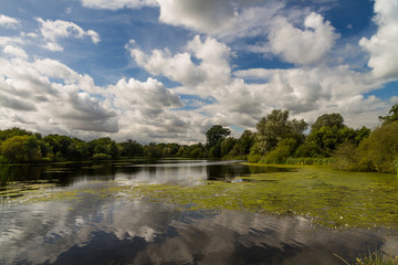 Lake with trees and cloud.