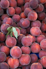 peaches in the market