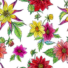 Seamless pattern from multi-colored dahlias on a white background, hand drawing.