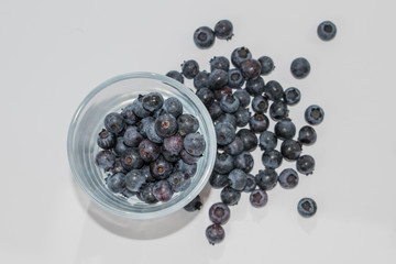 blueberry isolated