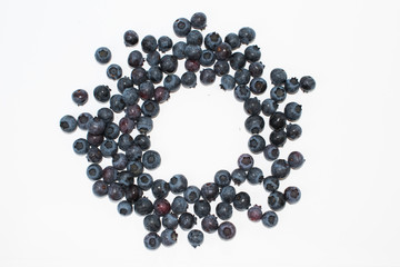 blueberry isolated
