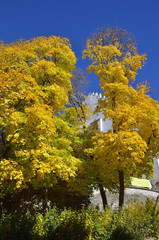 Schloss Murnau im Herbst
