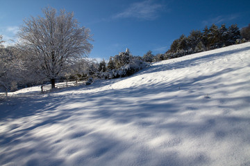 Obraz premium Winter in Slovakia