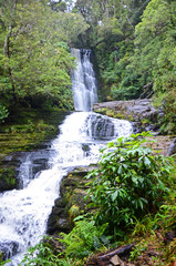Obraz premium McLean Falls in the Catlins Coast of New Zealand