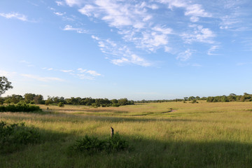 South Africa, Kruger National park