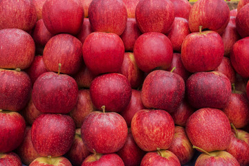 Apples, fruit, food, red, freshness, street market