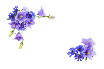 Obraz na płótnie Canvas Violet-blue bell flowers Campanula persicifolia (peach-leaved bellflower) and Cornflower (Centaurea cyanus) on a white background with space for text. Top view, flat lay.