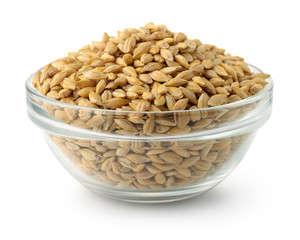  Glass bowl of barley grains