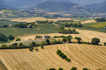 Fototapeta premium Summer landscape in Marches (Italy) near Ostra