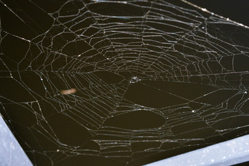 a broken spider web over a dark, dirty lake in autumn 