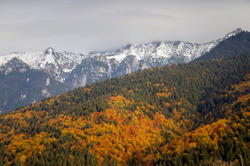 Beautiful autumn landscape in Transylvania