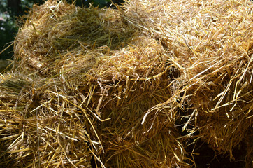 Bales of dry goldden hay in summertime