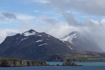 South Georgia, The landscape of the Bay of Isles from Prion Island
